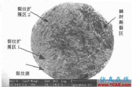 40Cr軸承疲勞斷裂分析ansys培訓(xùn)的效果圖片2