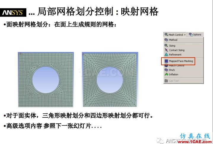 ansys技術(shù)專(zhuān)題之 網(wǎng)格劃分ansys培訓(xùn)的效果圖片22