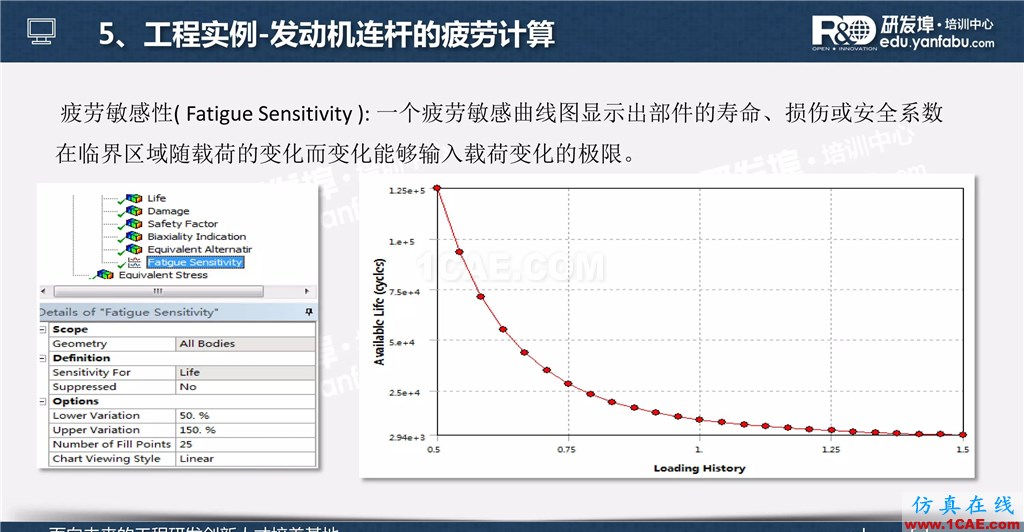 一個PPT讓你搞懂Ansys Workbench疲勞分析應用ansys培訓課程圖片36