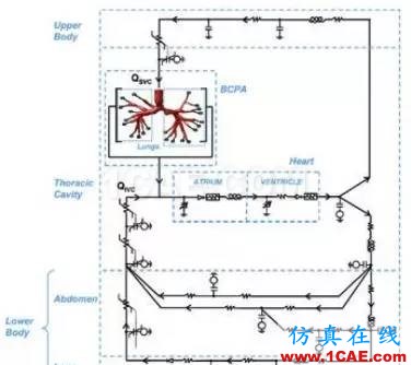 看ANSYS公司如何利用CFD助力心臟病患者手術(shù)fluent分析圖片3