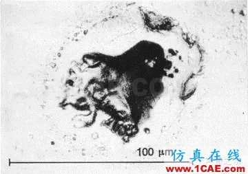 SKF軸承失效分析：失效形式、特征及可能原因機(jī)械設(shè)計(jì)圖片49