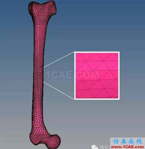 利用HyperWorks實現(xiàn)對運動撞擊情景的精確仿真建模abaqus有限元仿真圖片2