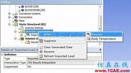 WORKBENCH對血管的流固耦合分析fluent培訓的效果圖片21