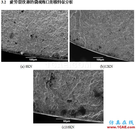 鉆桿鋼腐蝕疲勞的斷口分析ansys分析圖片2