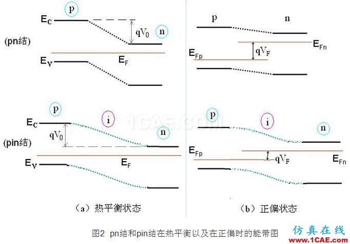 PIN結(jié)與PN結(jié)的特性比較 - 學(xué)習(xí) - 學(xué)習(xí)、學(xué)習(xí)、再學(xué)習(xí)