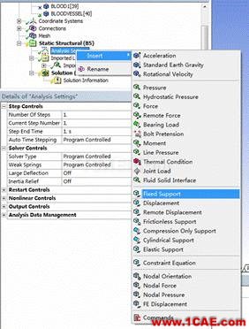 WORKBENCH對血管的流固耦合分析fluent培訓的效果圖片23