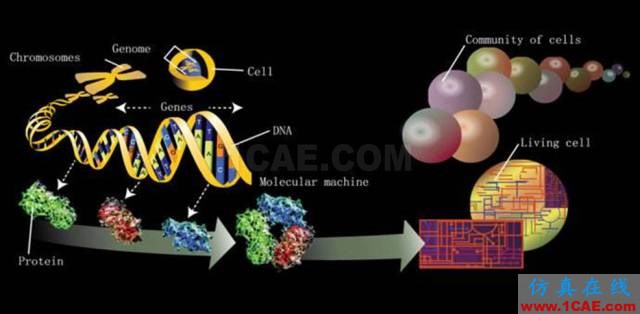 【資訊】強(qiáng)勢(shì)圍觀！Science公布的125個(gè)科學(xué)前沿問題!圖片61