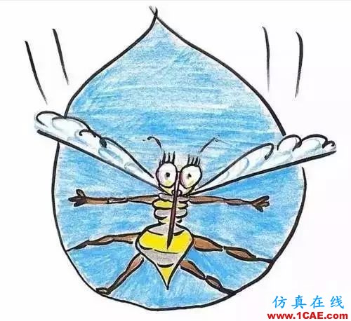 為什么蚊子永遠不會被雨砸死？千萬別被孩子問住了！fluent流體分析圖片12